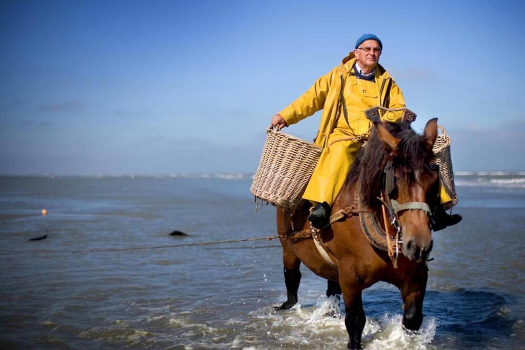 Zeezonzand Koksijde Ngoại thất bức ảnh